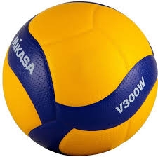 Волейбольный мяч Mikasa  V330 W